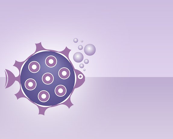 קניון סגול - ברגעים שצריך קצת צבע